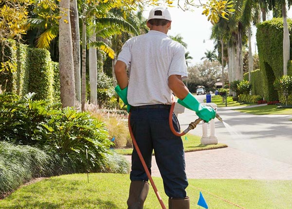 About Musella GA Pest Control Pros